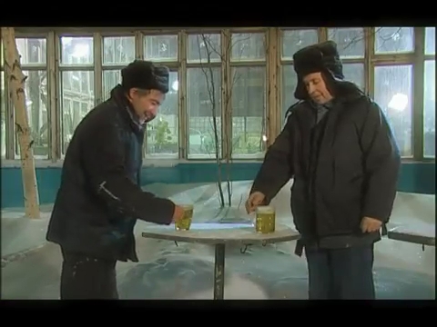 «Микроскоп» (2007) «Микроскоп» (2007)