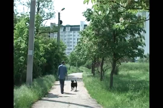«Притча» (2011) «Притча» (2011)