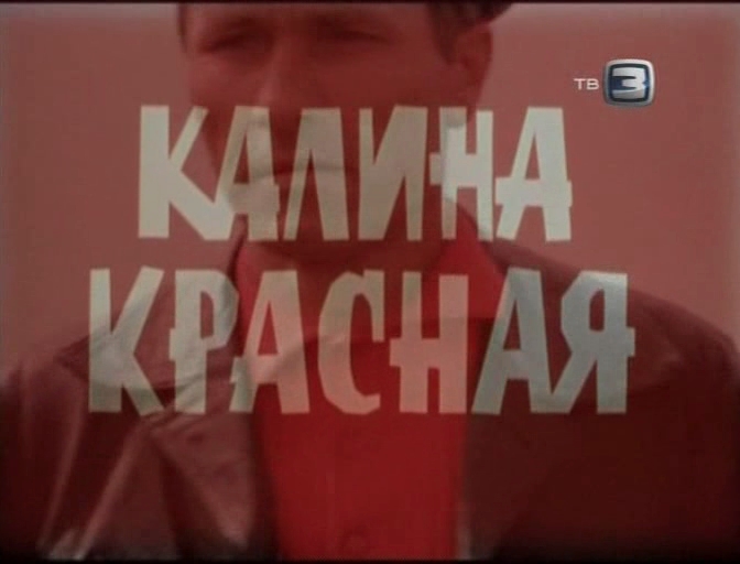 «Без права на дубль. Василий Шукшин» (2011) «Без права на дубль. Василий Шукшин» (2011)