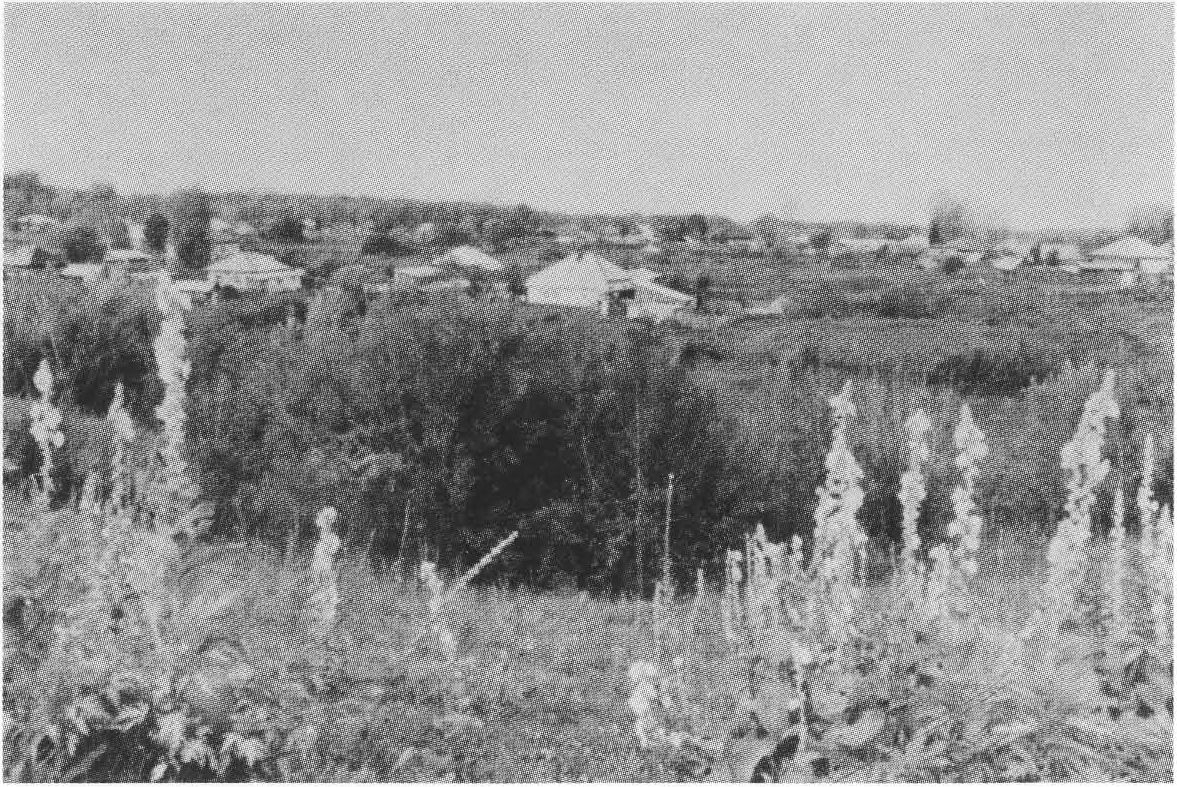 Родина В.М. Шукшина — село Сростки Родина В.М. Шукшина — село Сростки