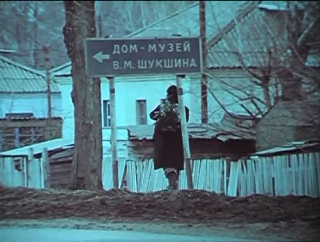 «Твой сын, Россия» (1989)